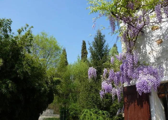 L'Isolo B&B E Case Vacanza Monzambano