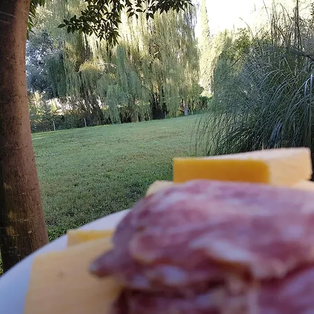 Nocleg ze śniadaniem L'isolo E Monzambano