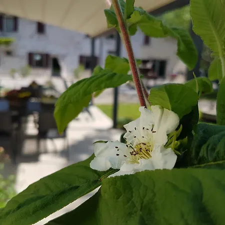 Nocleg ze śniadaniem L'isolo E 4*