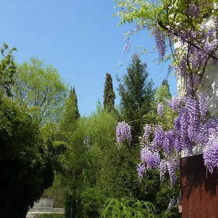 L'isolo E Monzambano