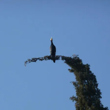 L'isolo E 4* Monzambano